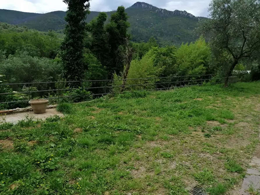 Immagine 17 di Villa in vendita  a Calci