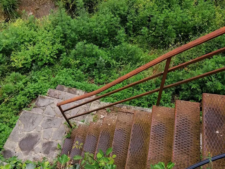 Immagine 4 di Villa in vendita  a Calci