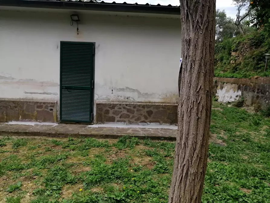 Immagine 14 di Villa in vendita  a Calci