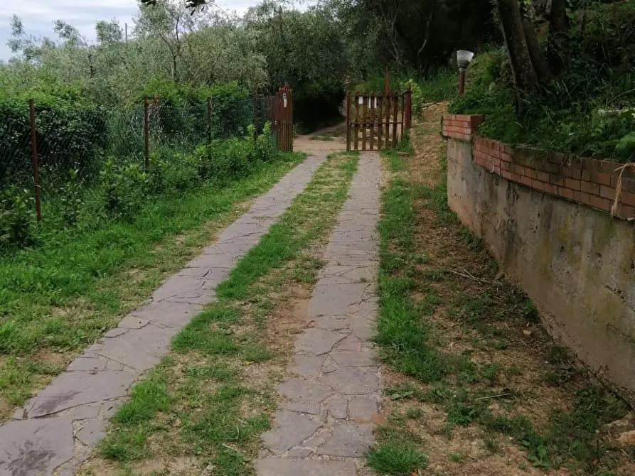 Immagine 8 di Villa in vendita  a Calci