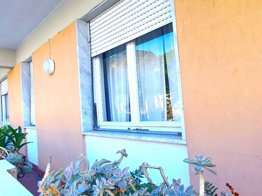 Immagine 48 di Appartamento in vendita  a Carrara