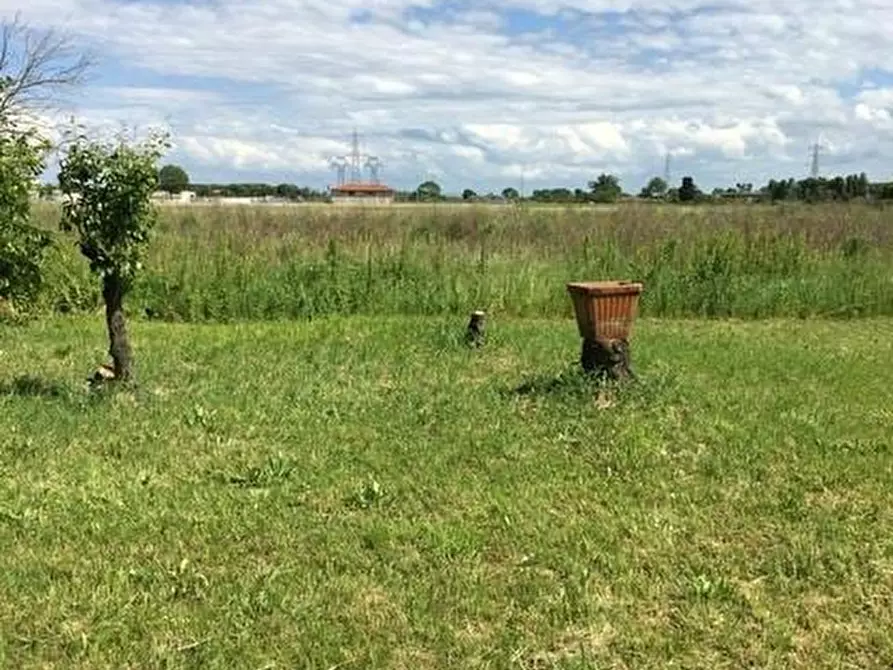 Immagine 6 di Appartamento in vendita  a Pisa