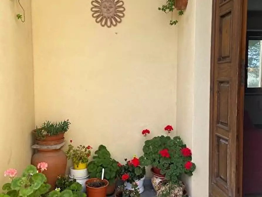 Immagine 10 di Appartamento in vendita  a Pisa