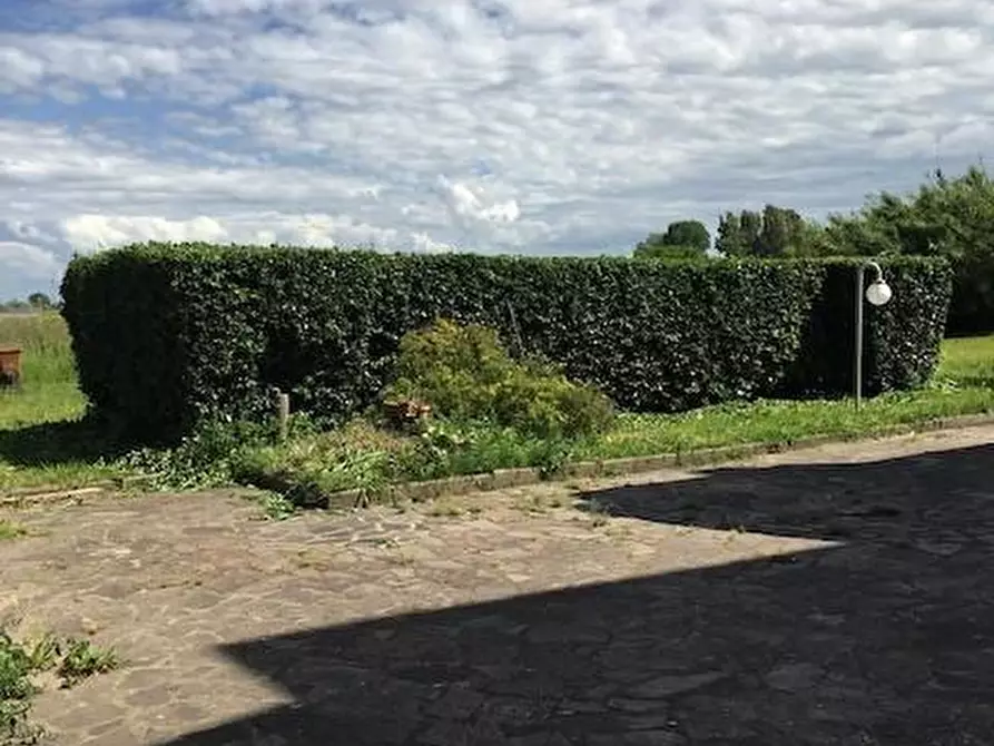 Immagine 8 di Appartamento in vendita  a Pisa