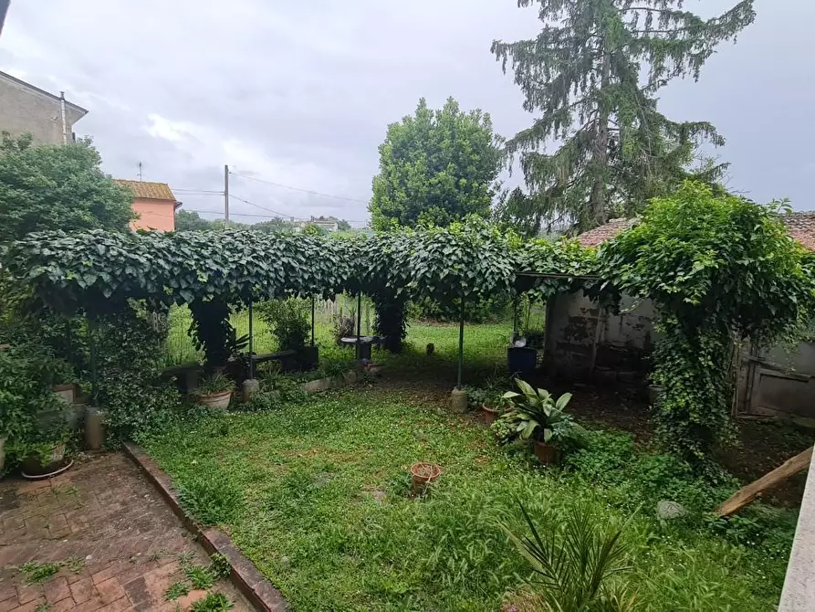 Immagine 9 di Appartamento in vendita  a San Miniato