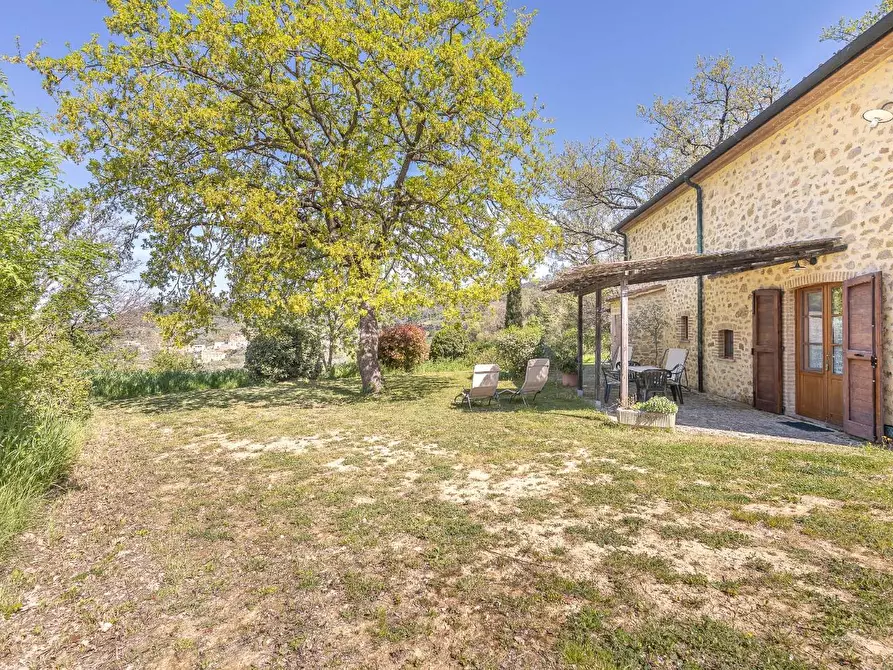 Immagine 15 di Casa colonica in vendita  a Pomarance