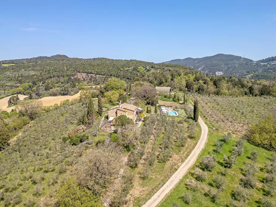 Immagine 7 di Casa colonica in vendita  a Pomarance