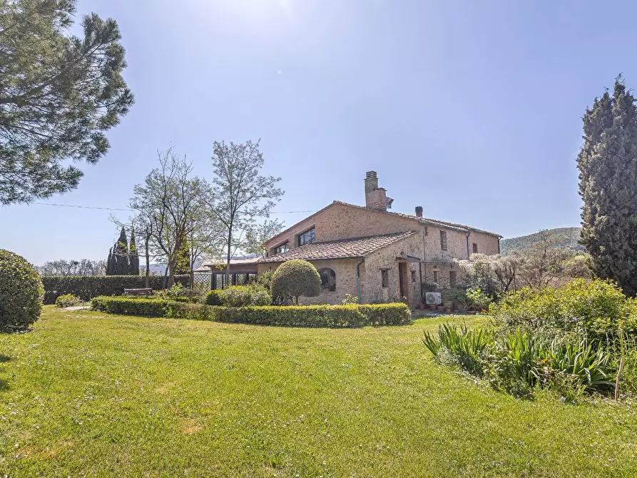 Immagine 2 di Casa colonica in vendita  a Pomarance