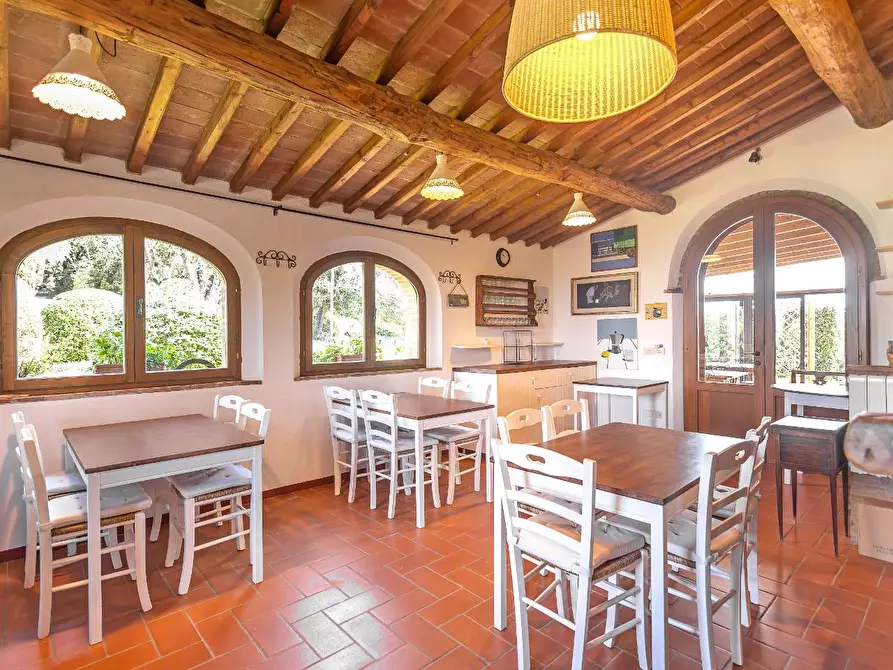 Immagine 32 di Casa colonica in vendita  a Pomarance