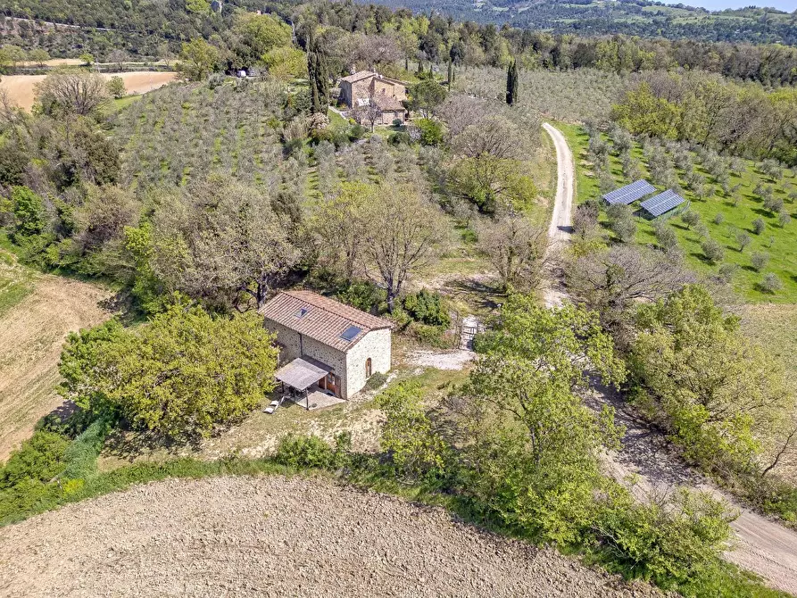 Immagine 8 di Casa colonica in vendita  a Pomarance