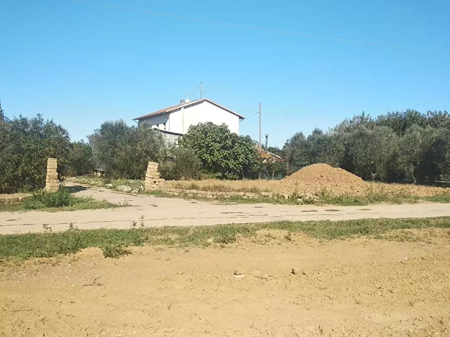 Immagine 2 di Casa colonica in vendita  a Grosseto