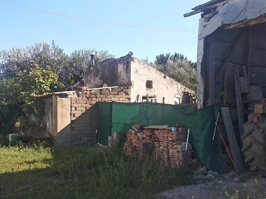 Immagine 4 di Casa colonica in vendita  a Grosseto