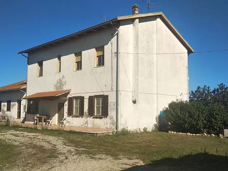 Immagine 3 di Casa colonica in vendita  a Grosseto