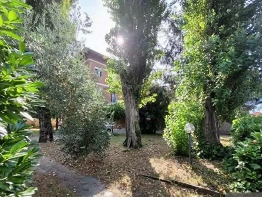 Immagine 22 di Appartamento in vendita  a Pietrasanta