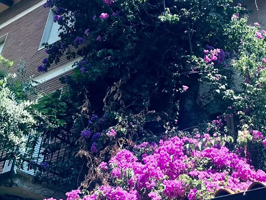 Immagine 24 di Appartamento in vendita  a Pietrasanta