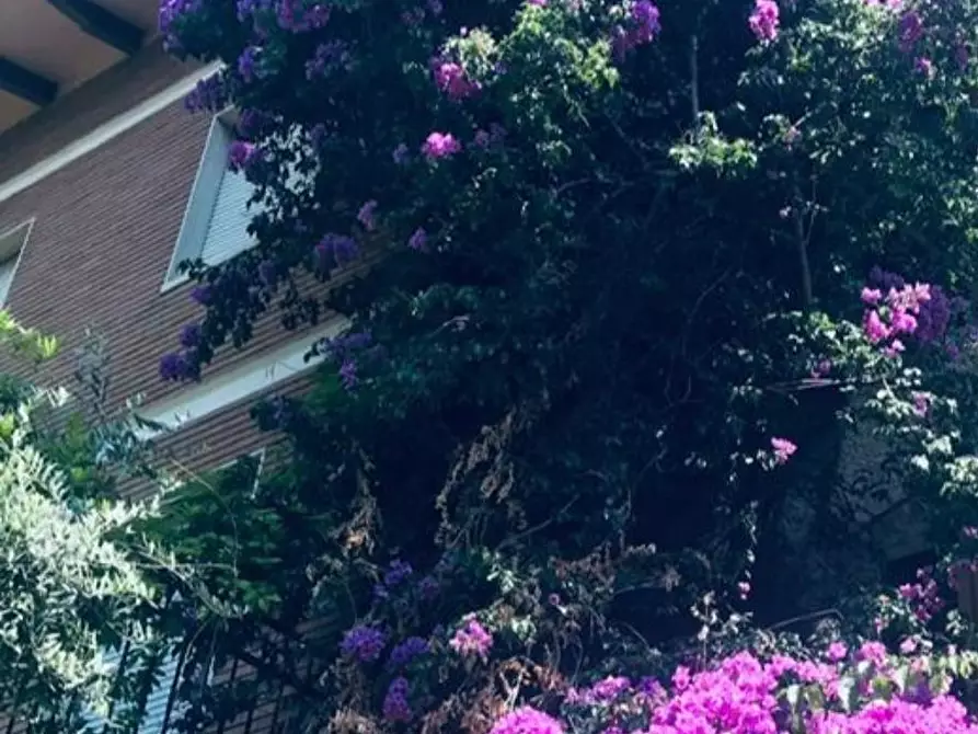 Immagine 26 di Appartamento in vendita  a Pietrasanta