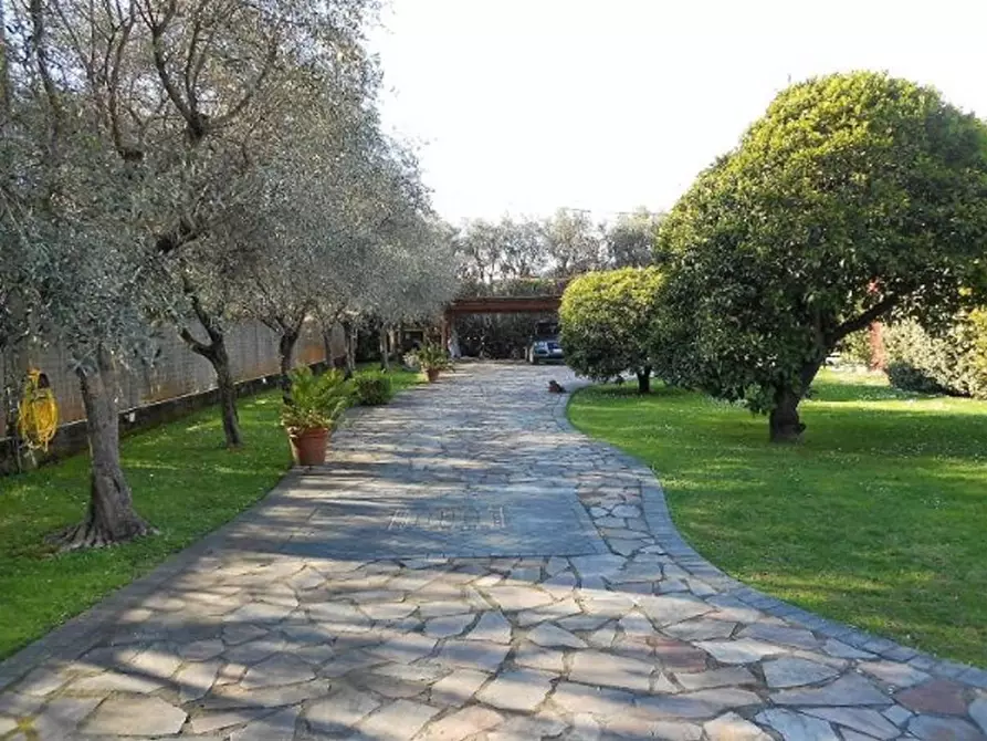 Immagine 15 di Villa in vendita  a Seravezza