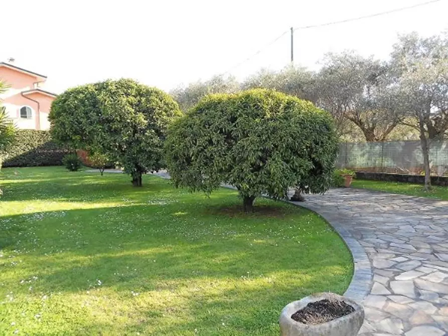 Immagine 20 di Villa in vendita  a Seravezza