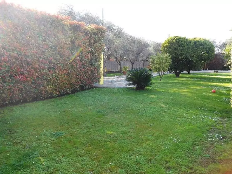 Immagine 21 di Villa in vendita  a Seravezza