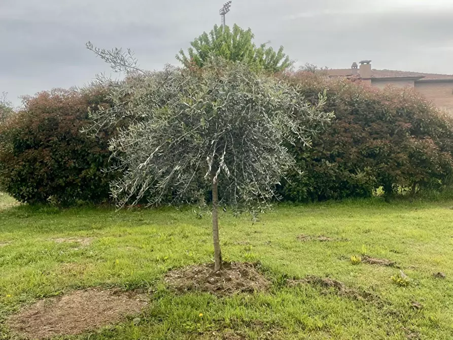 Immagine 44 di Casa bifamiliare in vendita  a Monteroni D'arbia