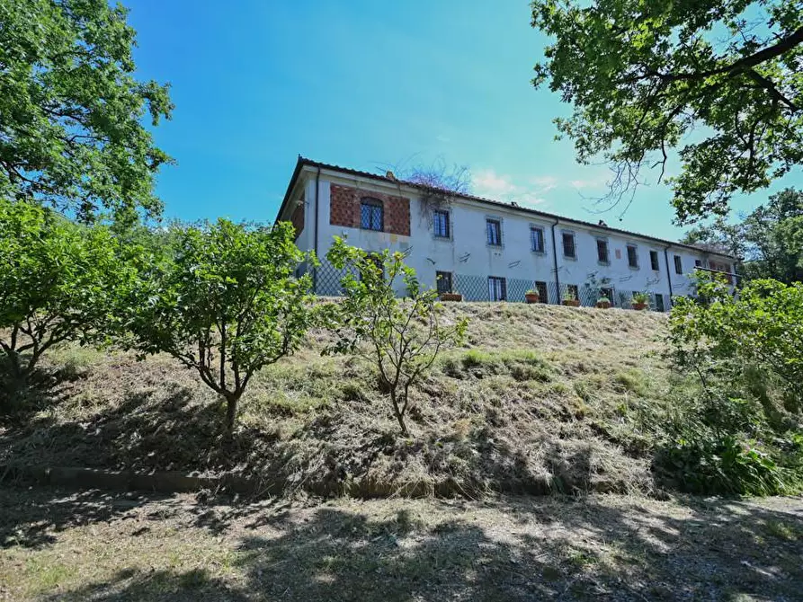 Immagine 32 di Villa in vendita  a Massarosa
