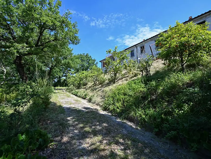 Immagine 33 di Villa in vendita  a Massarosa