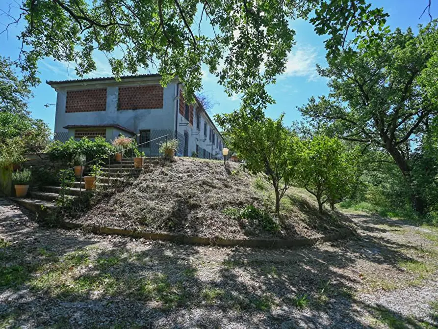 Immagine 30 di Villa in vendita  a Massarosa