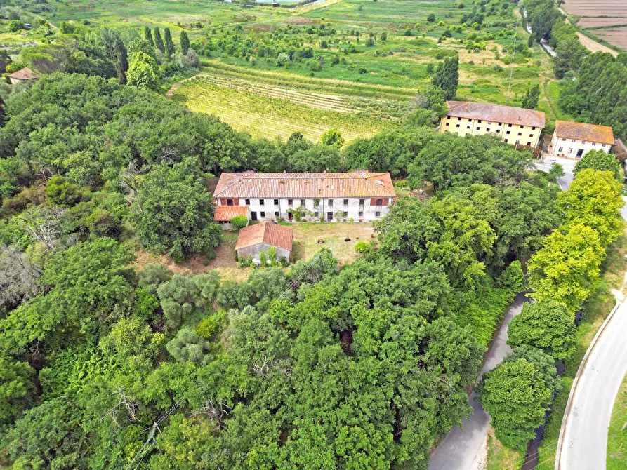 Immagine 40 di Villa in vendita  a Massarosa