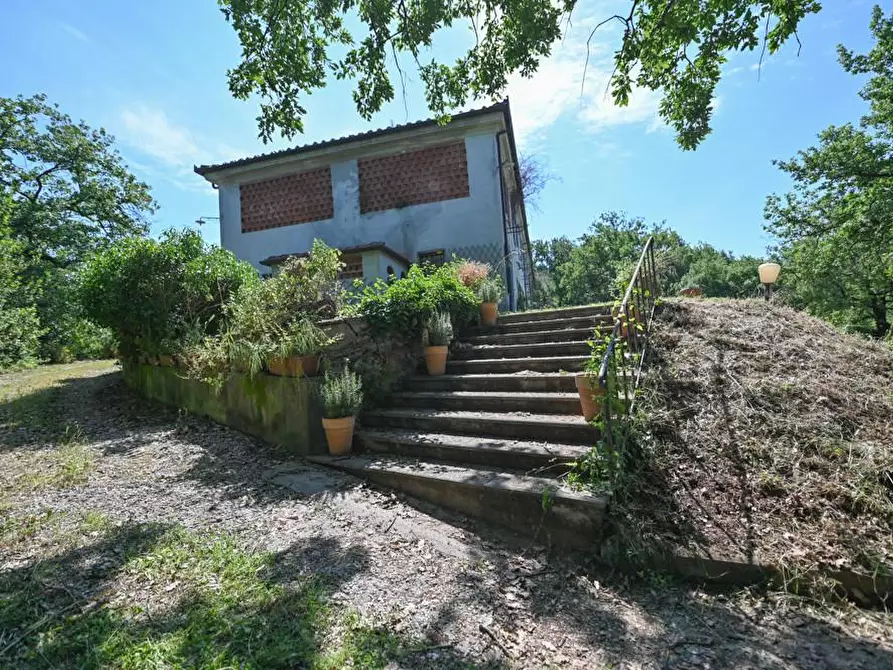 Immagine 31 di Villa in vendita  a Massarosa