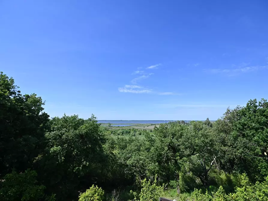 Immagine 20 di Villa in vendita  a Massarosa