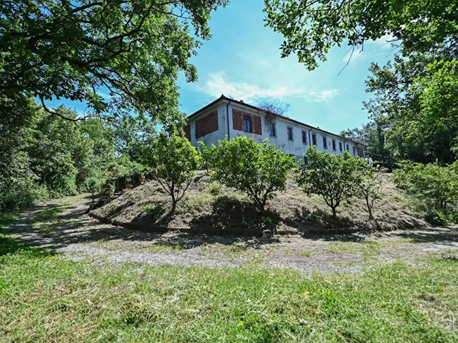 Immagine 29 di Villa in vendita  a Massarosa