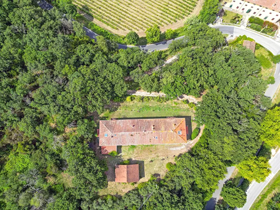 Immagine 41 di Villa in vendita  a Massarosa