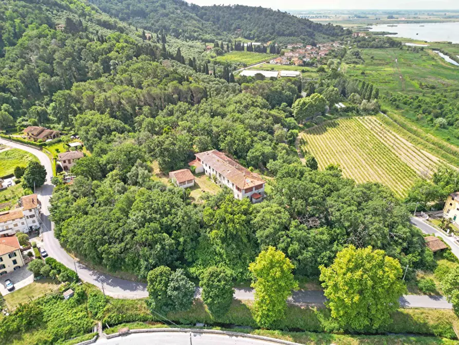 Immagine 43 di Villa in vendita  a Massarosa