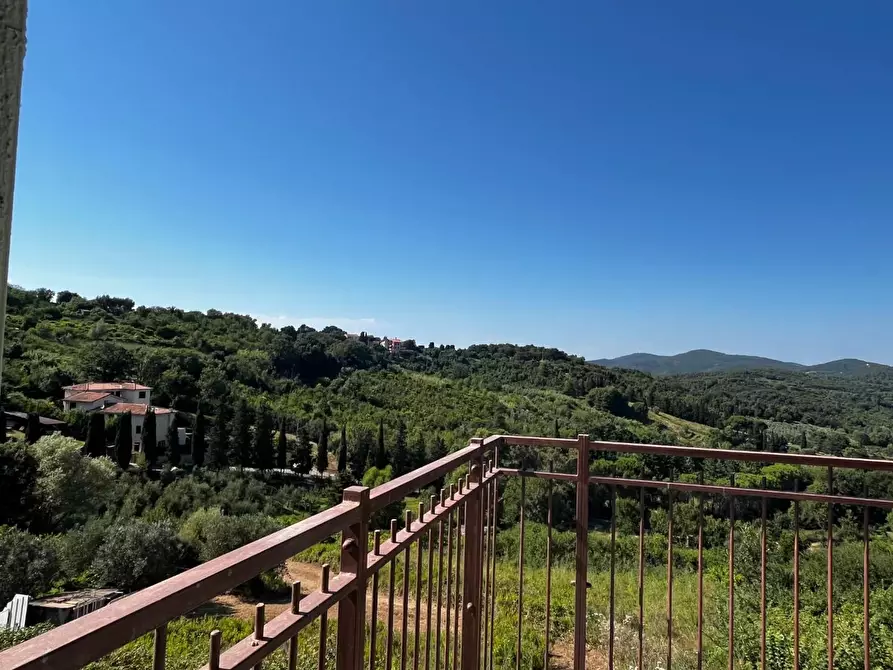 Immagine 19 di Appartamento in vendita  a Rosignano Marittimo