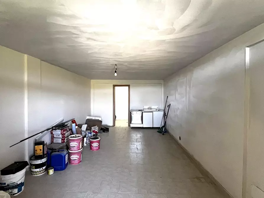 Immagine 16 di Appartamento in vendita  a Rosignano Marittimo