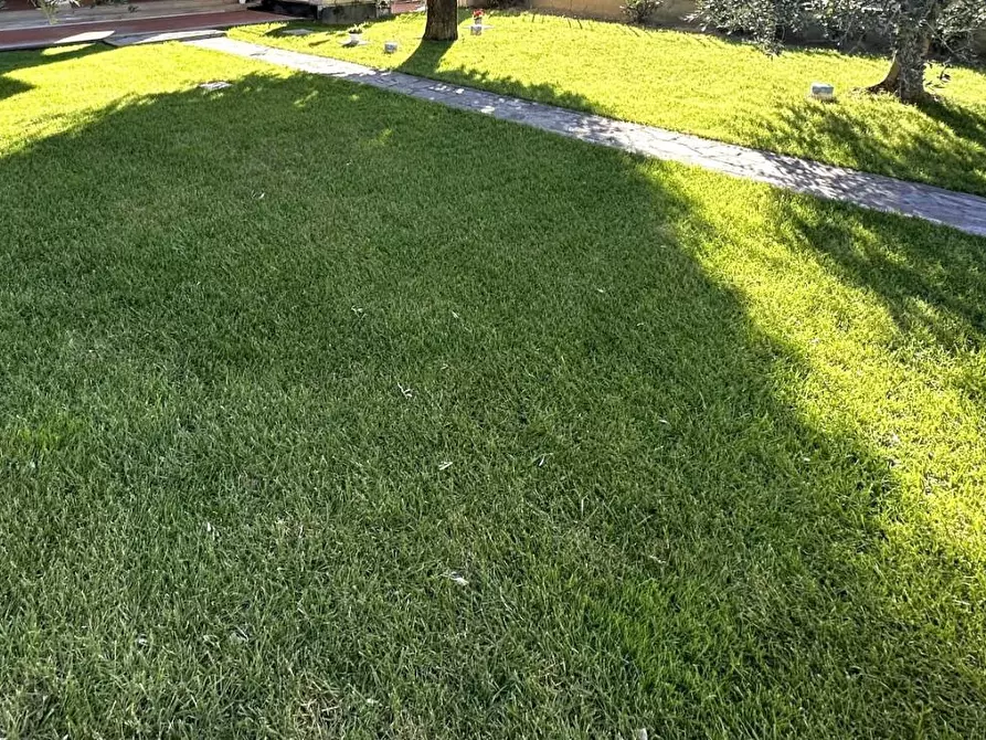 Immagine 4 di Appartamento in vendita  a Montelupo Fiorentino