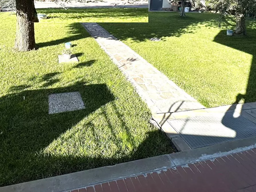 Immagine 3 di Appartamento in vendita  a Montelupo Fiorentino