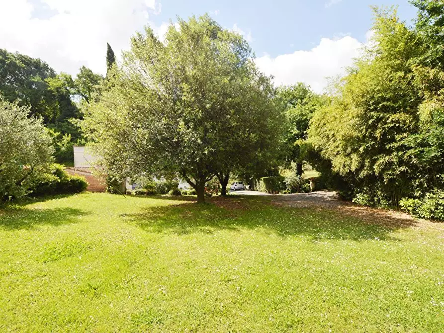 Immagine 22 di Terratetto in vendita  a Capannori