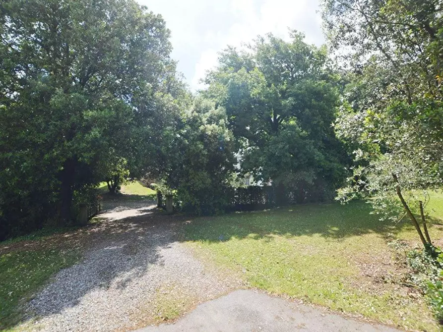 Immagine 23 di Terratetto in vendita  a Capannori