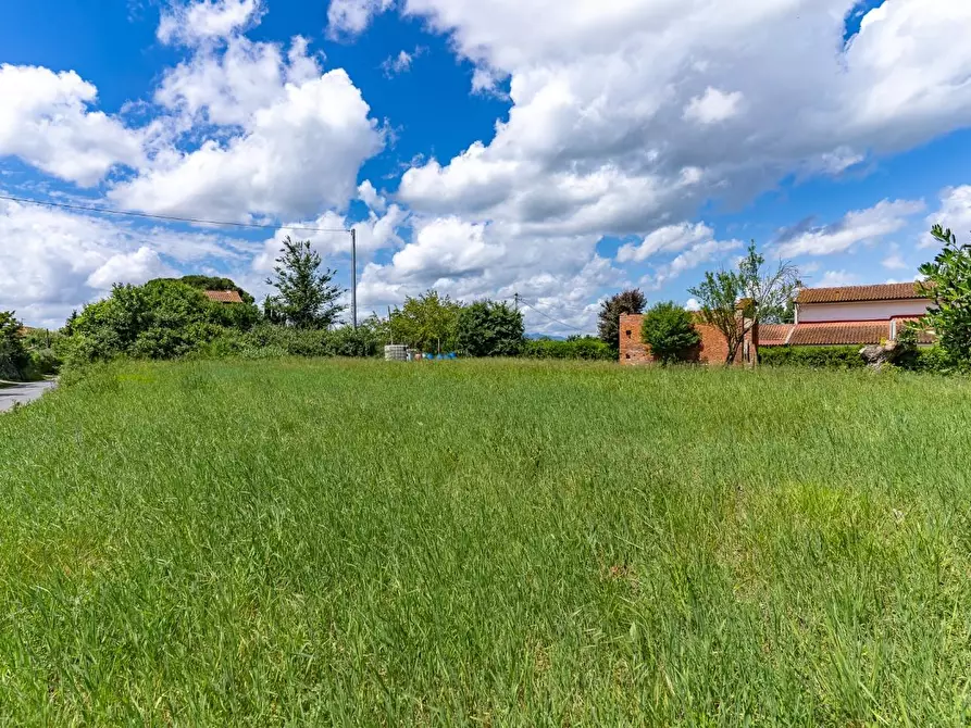 Immagine 12 di Terreno residenziale in vendita  a Cerreto Guidi