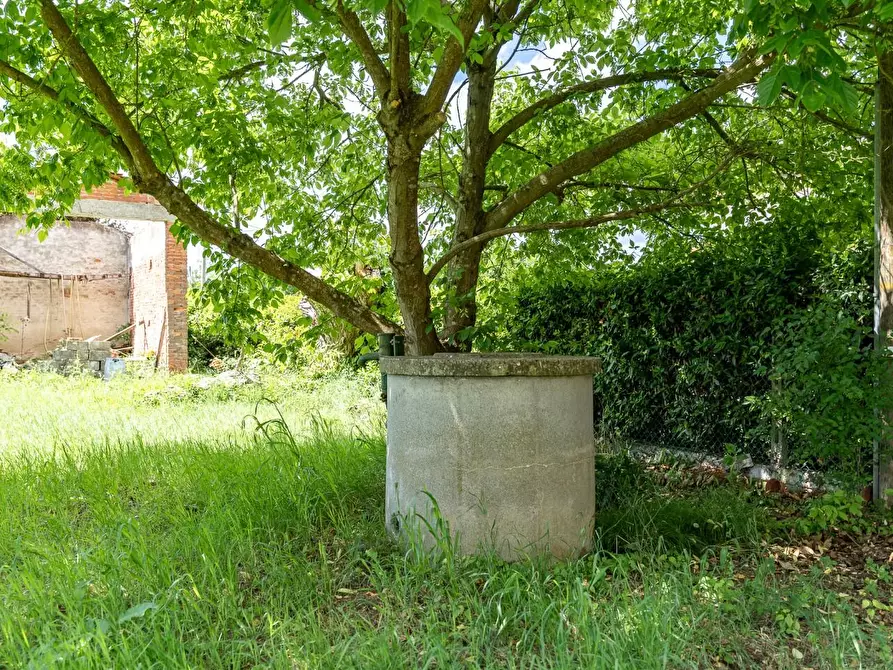 Immagine 15 di Terreno residenziale in vendita  a Cerreto Guidi