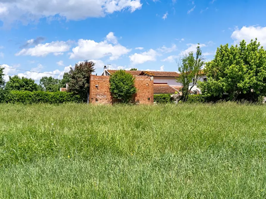 Immagine 11 di Terreno residenziale in vendita  a Cerreto Guidi