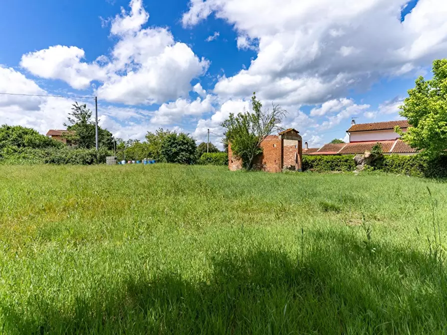 Immagine 2 di Terreno residenziale in vendita  a Cerreto Guidi