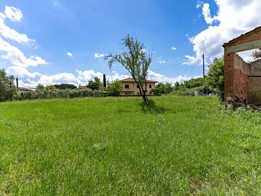 Immagine 4 di Terreno residenziale in vendita  a Cerreto Guidi