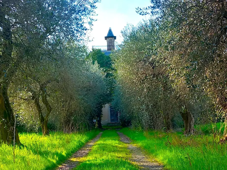 Immagine 1 di Villa in vendita  a Pisa