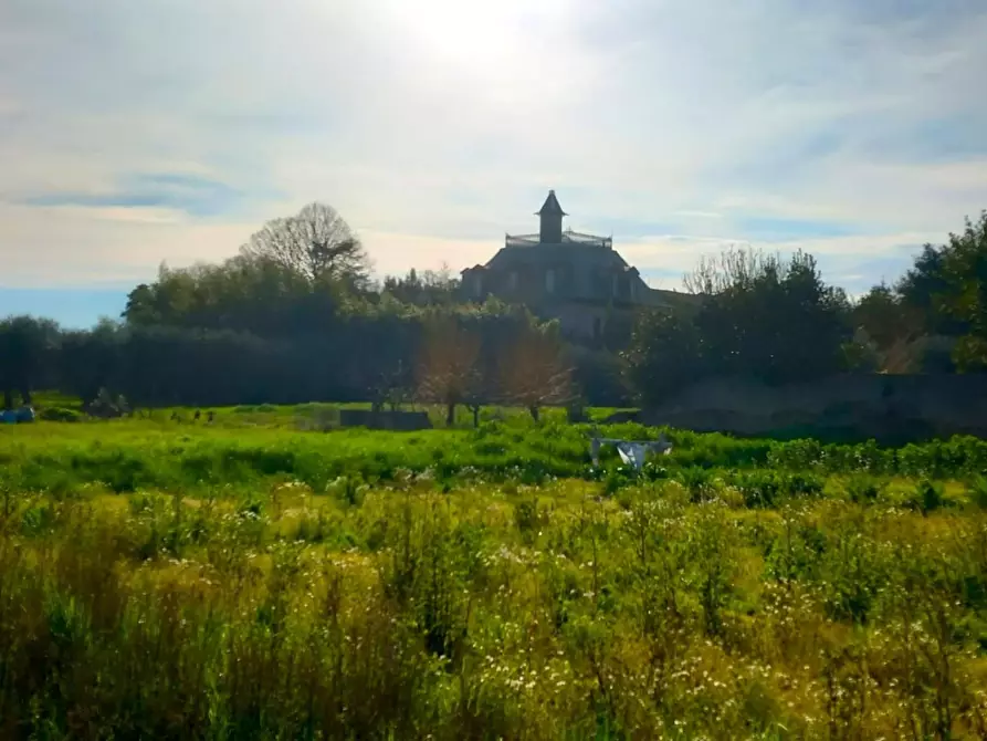 Immagine 3 di Villa in vendita  a Pisa
