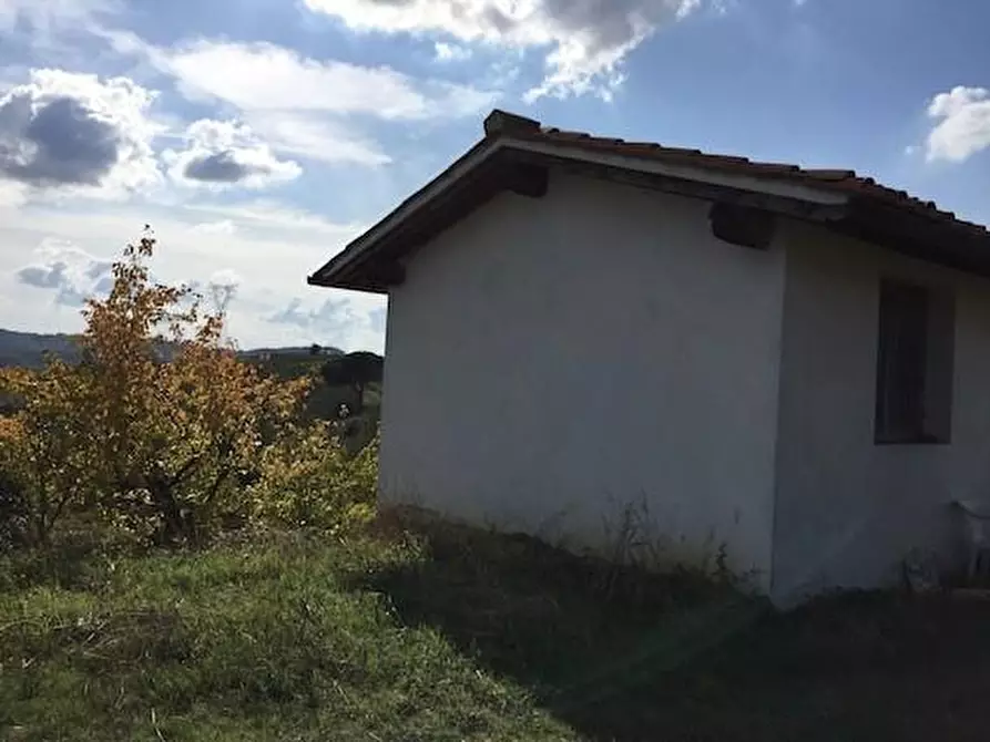 Immagine 2 di Azienda agricola in vendita  a Lastra A Signa