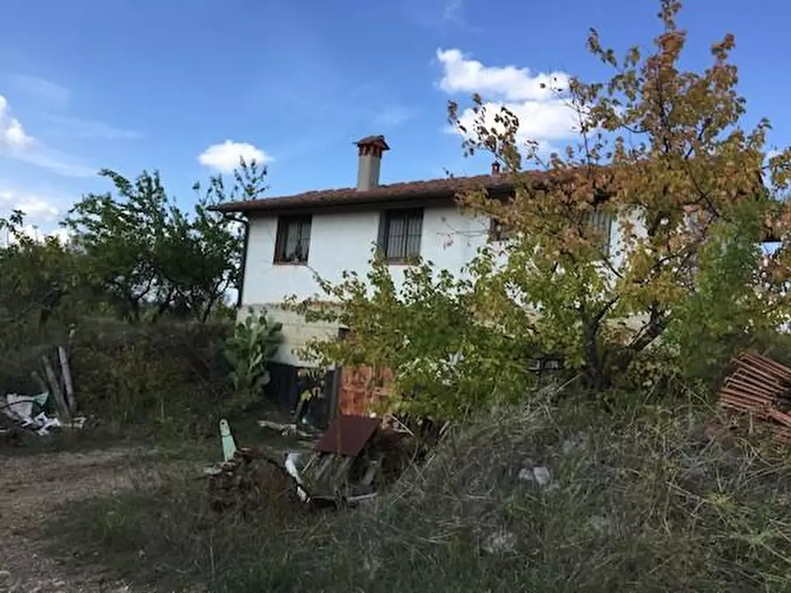Immagine 6 di Azienda agricola in vendita  a Lastra A Signa