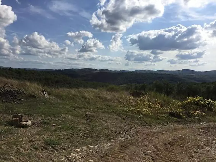 Immagine 3 di Azienda agricola in vendita  a Lastra A Signa