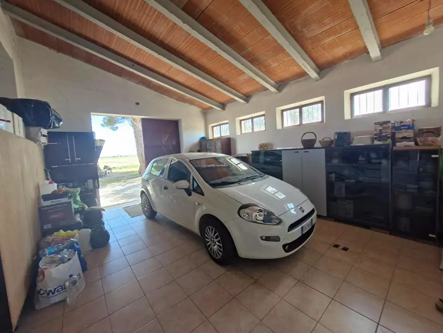 Immagine 12 di Terratetto in vendita  a Campiglia Marittima